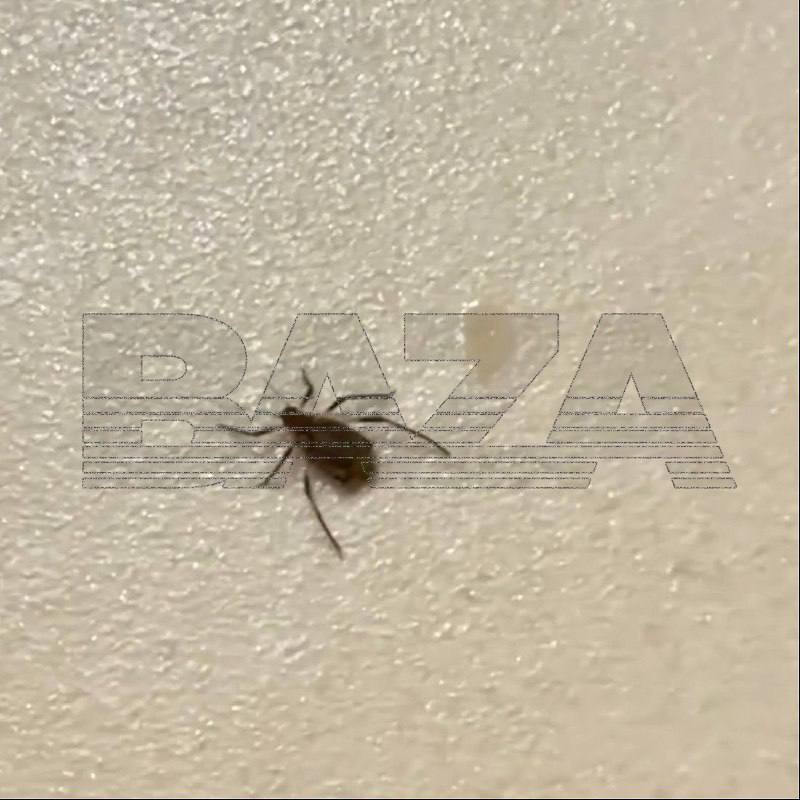 клещ новогодняя елка живая 