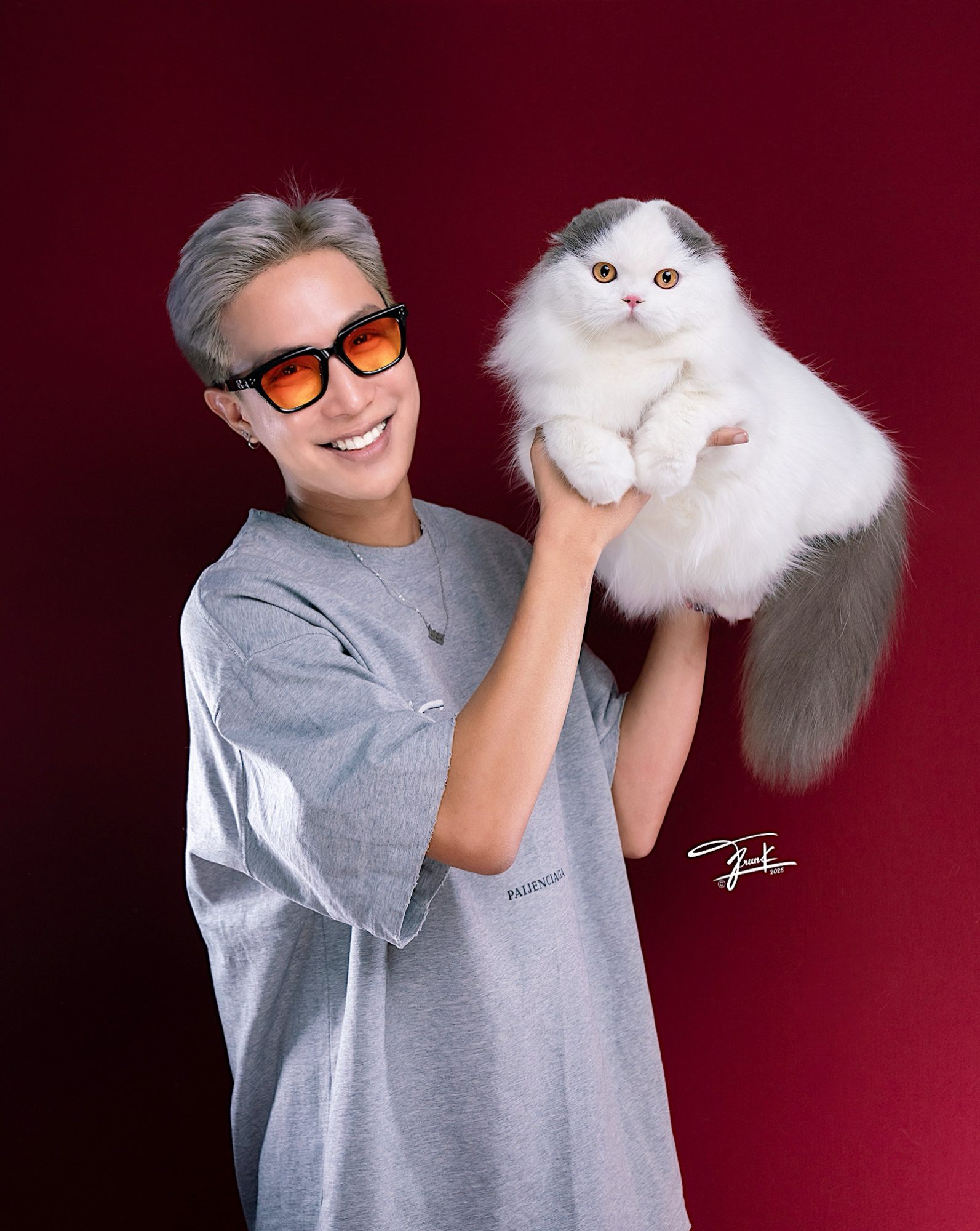 хайлендский вислоухий кот из Таиланда.