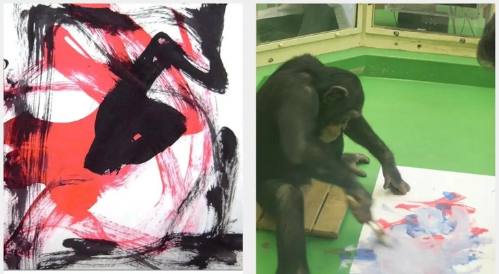 самая умная обезьяна рисование Ай