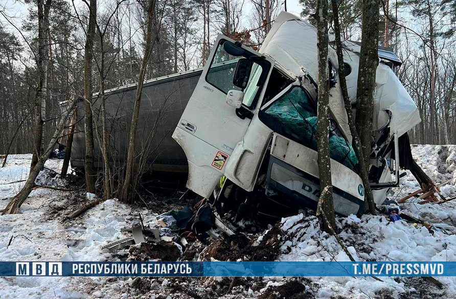 дтп под Речицей Беларусь происшествие авто авария фура